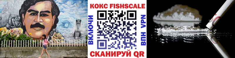 дарк нет телеграм  продажа наркотиков  Борисоглебск  Cocaine Fish Scale 