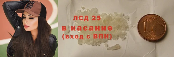 хмурый Каменка